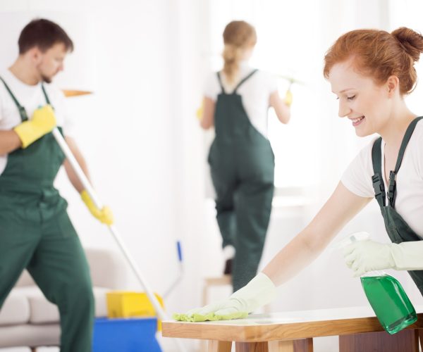 cleaning-service-during-work-1.jpg